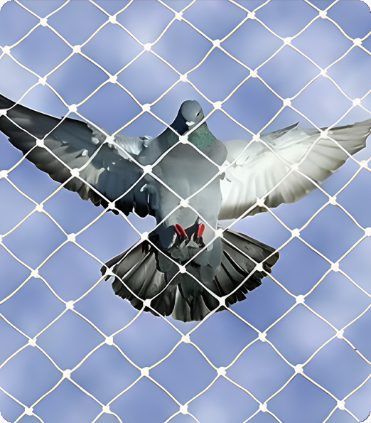 UV-Protected Kabutar Jali for Balcony Safety by AS Enterprises